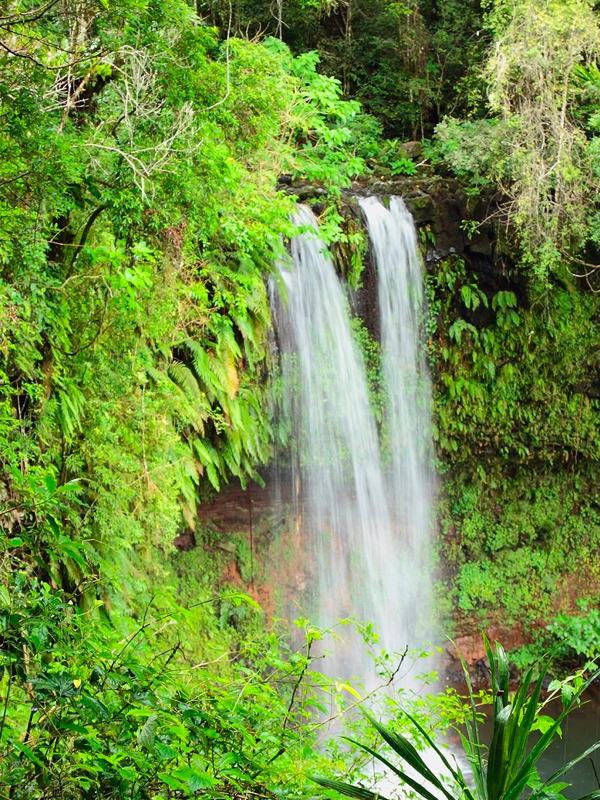 Andasibe Reserve Wildlife Experience
